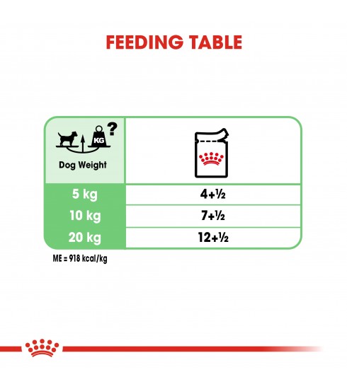 Royal canin digestive care wet store dog food